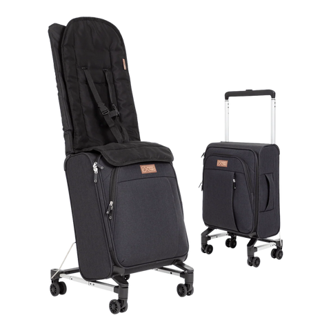 Mountain Buggy Skyrider