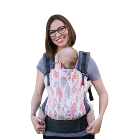 Buy willow Baby Tula Standard Carrier