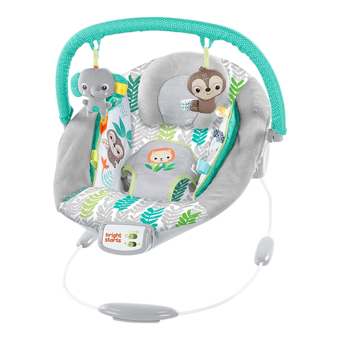 Bright Starts Comfy Bouncer
