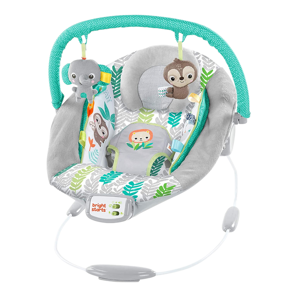 Bright Starts Comfy Bouncer - 1