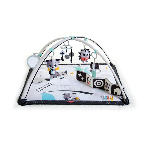 Tiny Love Gymini Play Activity Gym -  Magical Tales - Black & White - 1