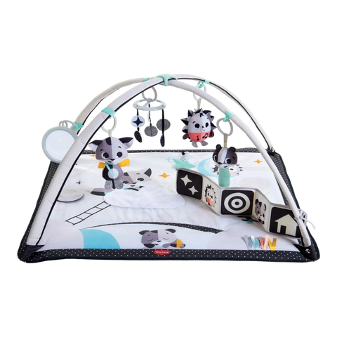 Tiny Love Magical Tales Black & White Gymini