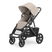 Ada