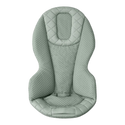 Ergobaby Evolve 3-in-1 Baby Bouncer - 2
