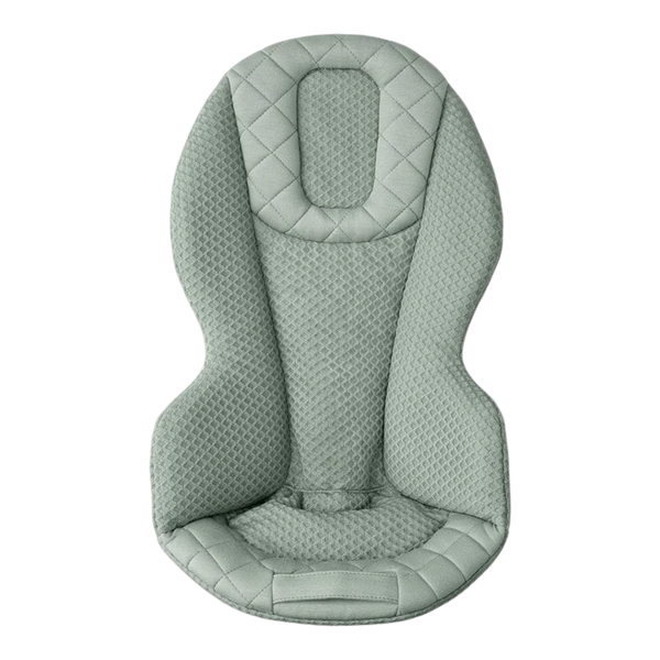 Ergobaby Evolve 3-in-1 Baby Bouncer - 2